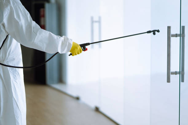 Best Water damage cleanup near me  in Vineland, NJ